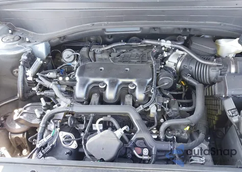 2025 Hyundai Palisade Calligraphy z USA, uszkodzony, nr VIN KM8R7DGE7SU842272